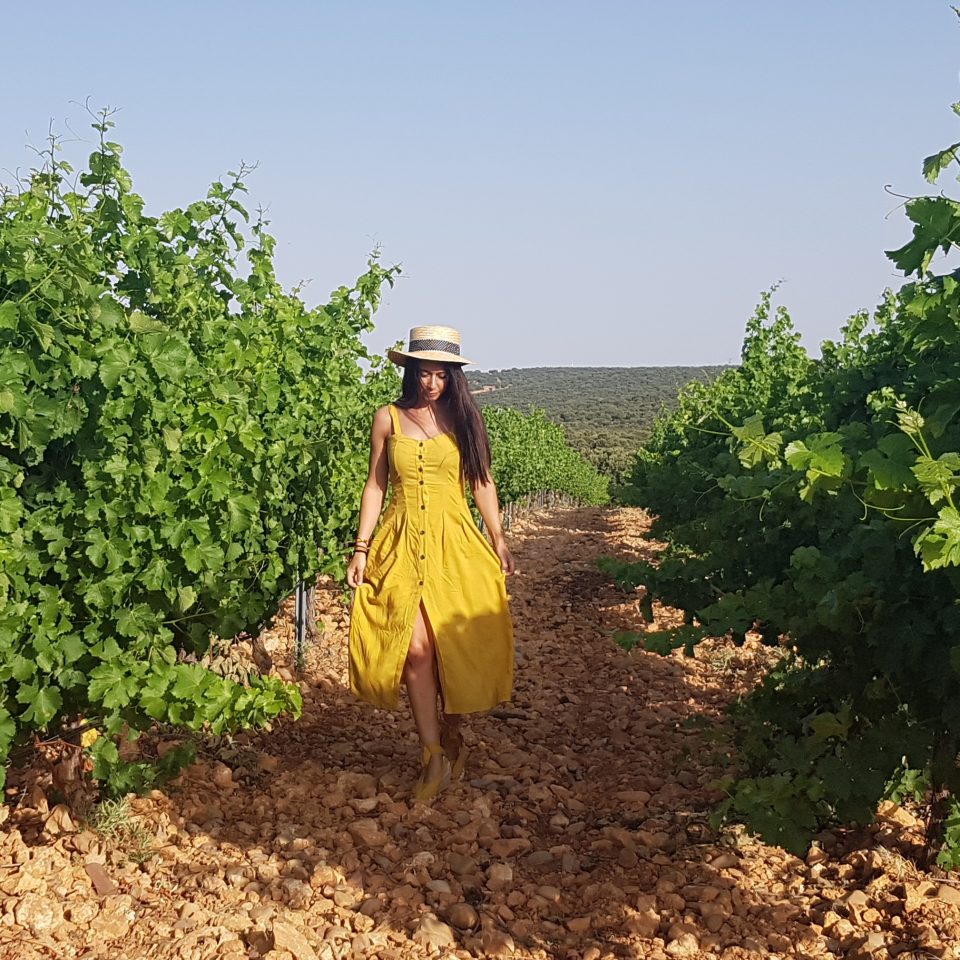 Pasear por los viñedos en una gran experiencia que te ofrece Aldonza Gourmet. Ven a conocer el enoturismo en el corazon de la mancha